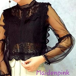 Elegant Beautiful Lace Mesh top.